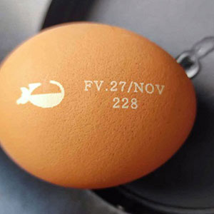 플라잉 코 ₂ 레이저 마킹-대기업-마크 마킹